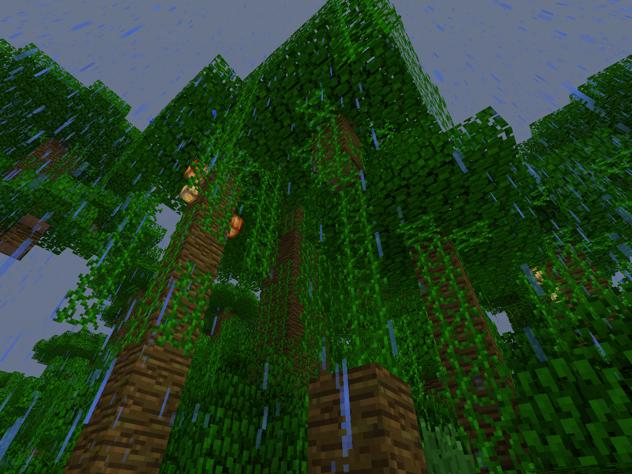 Attached image file