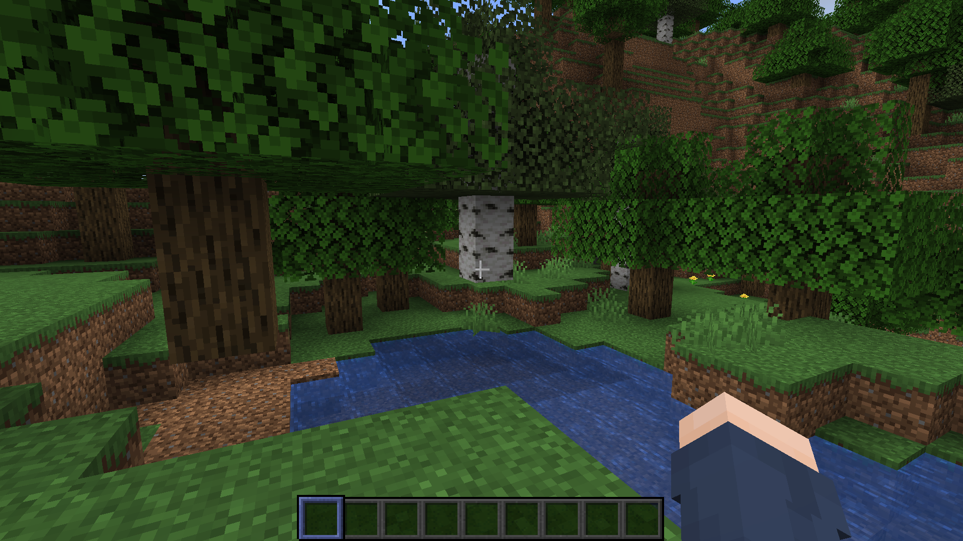 Attached image file