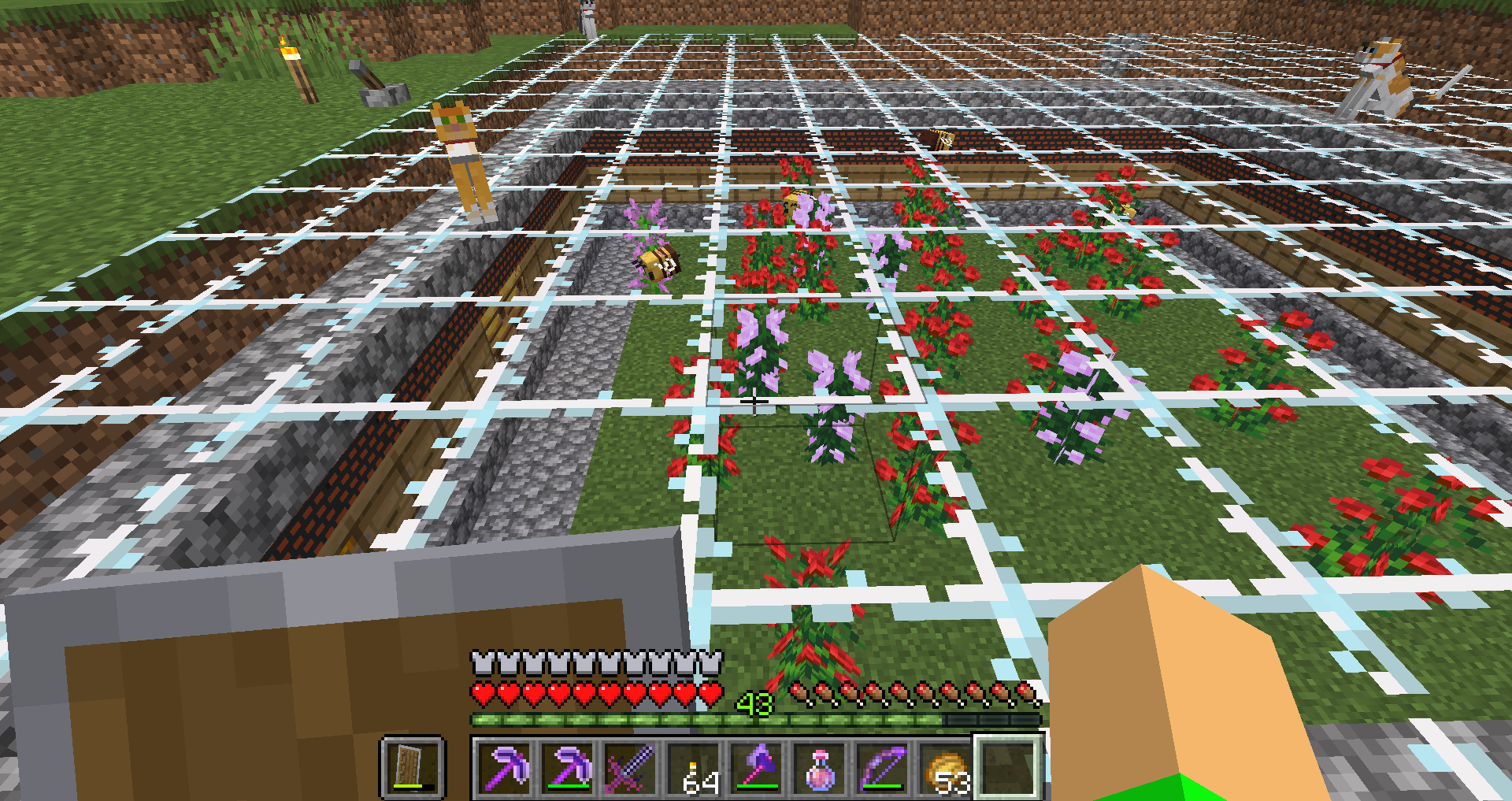 Attached image file