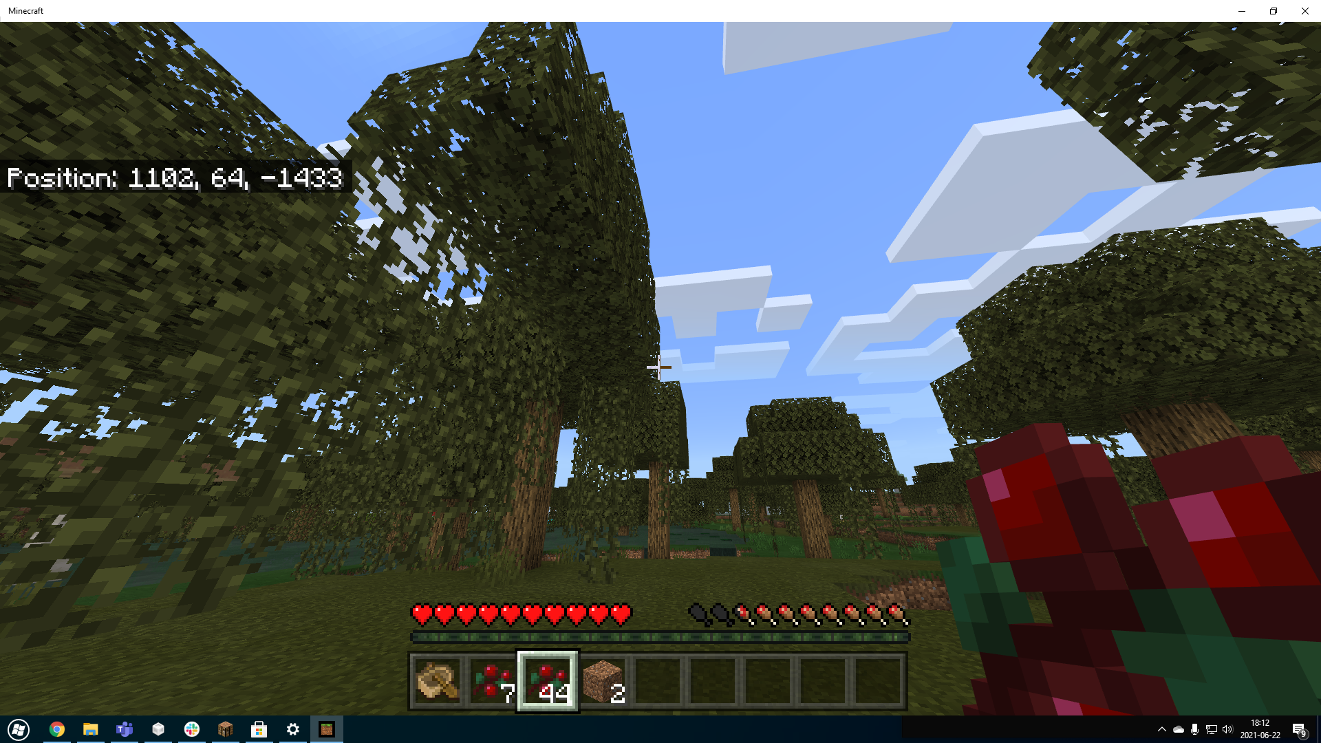 Attached image file