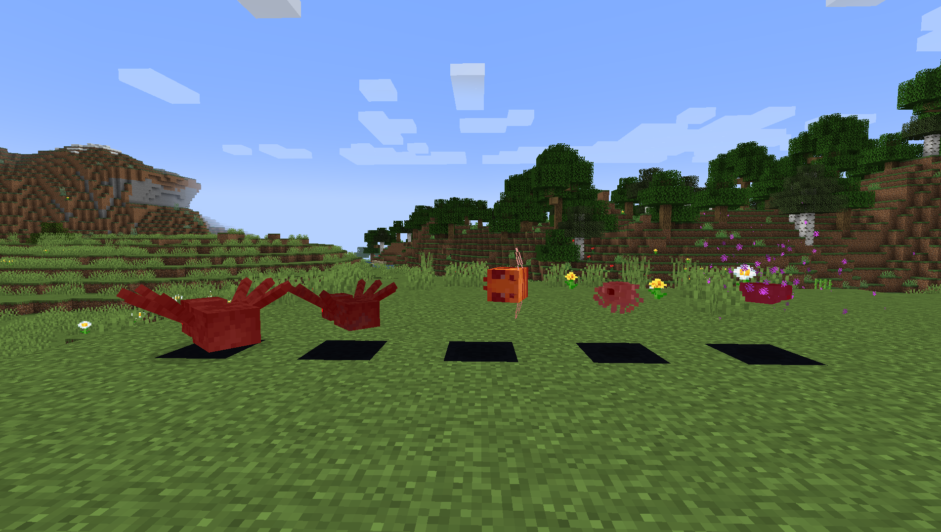 Attached image file