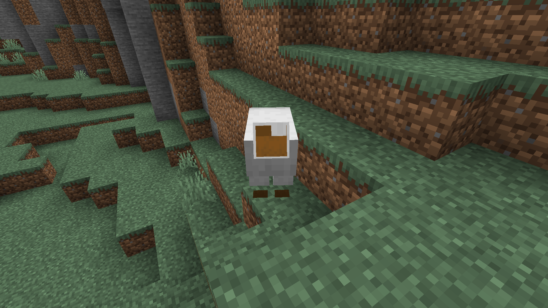 Attached image file
