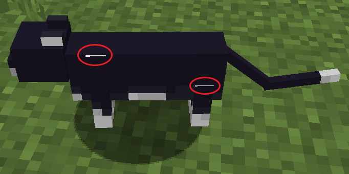 Attached image file