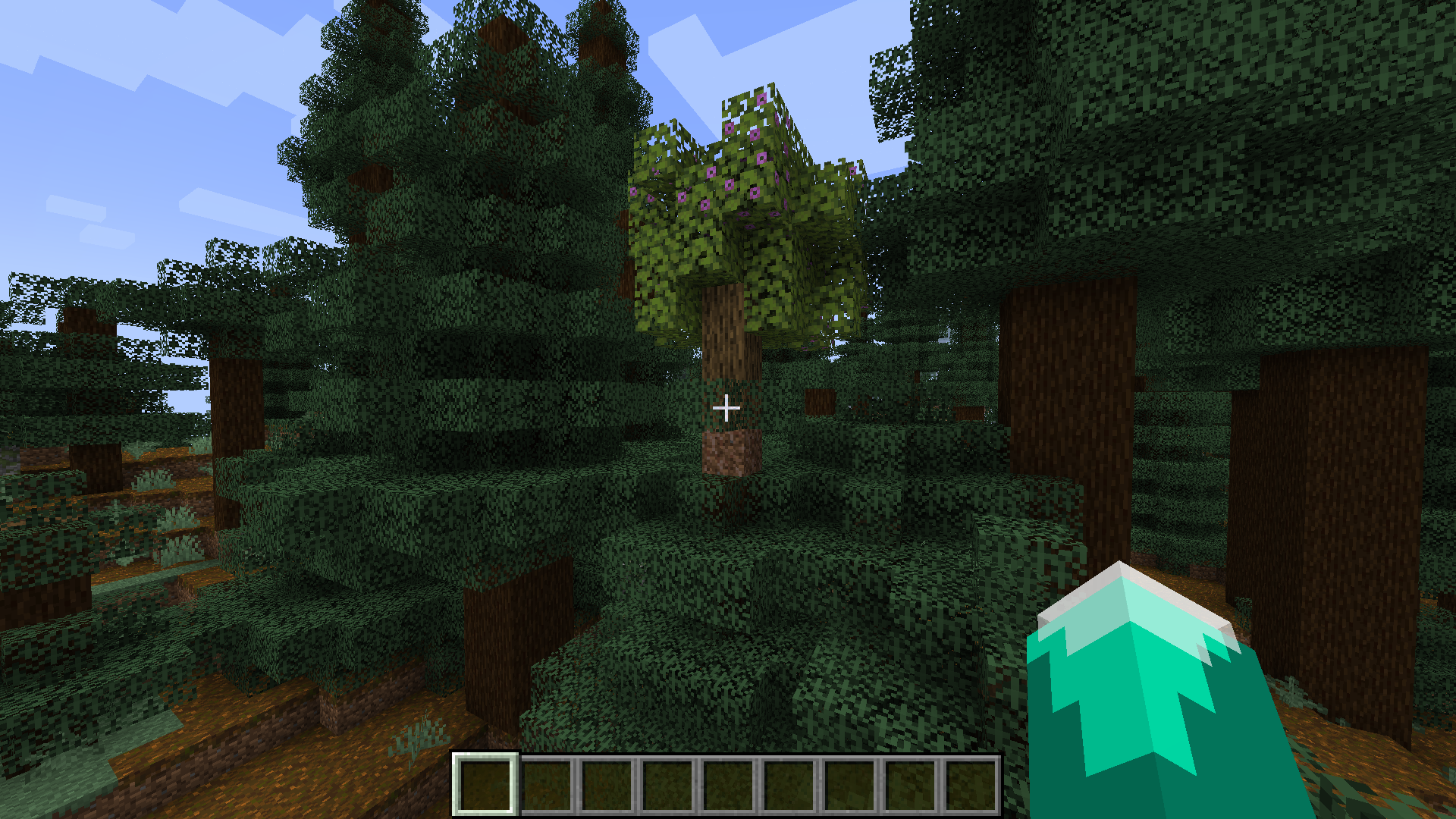 Attached image file