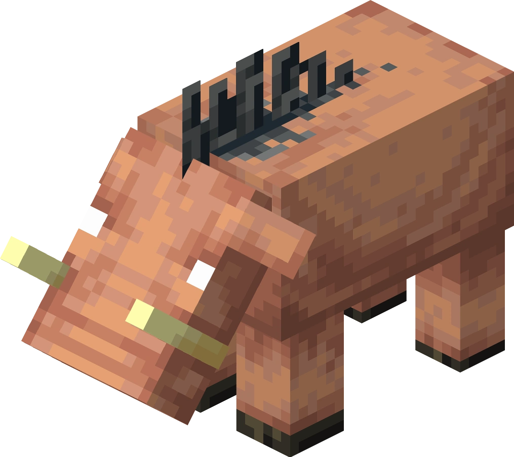 Attached image file