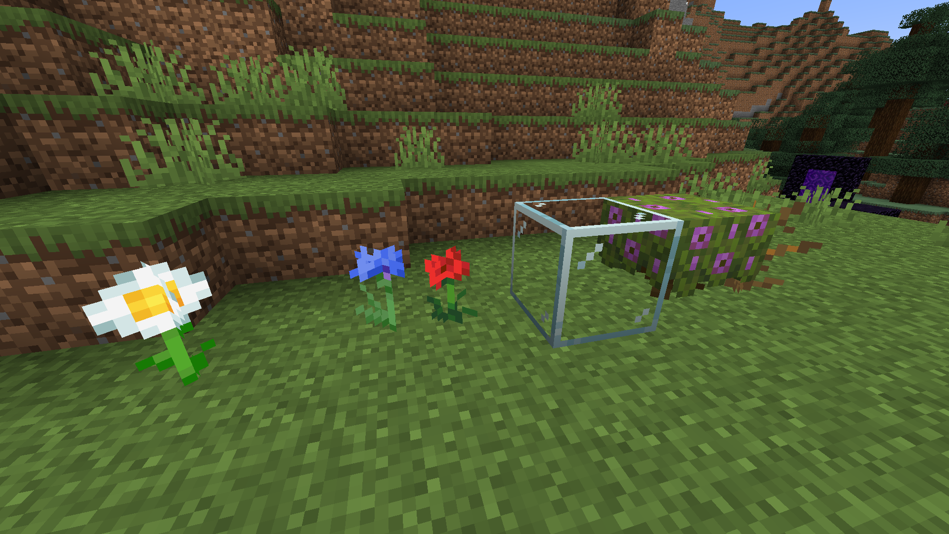 Attached image file
