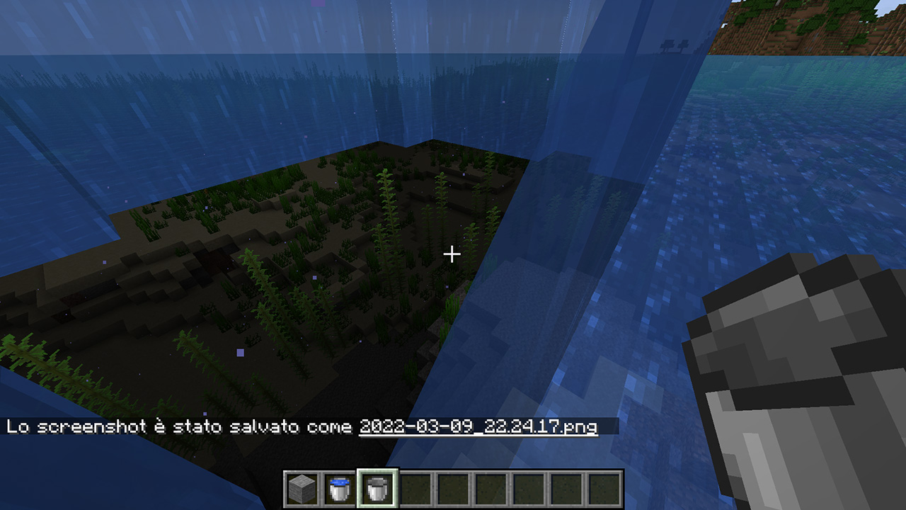 Attached image file