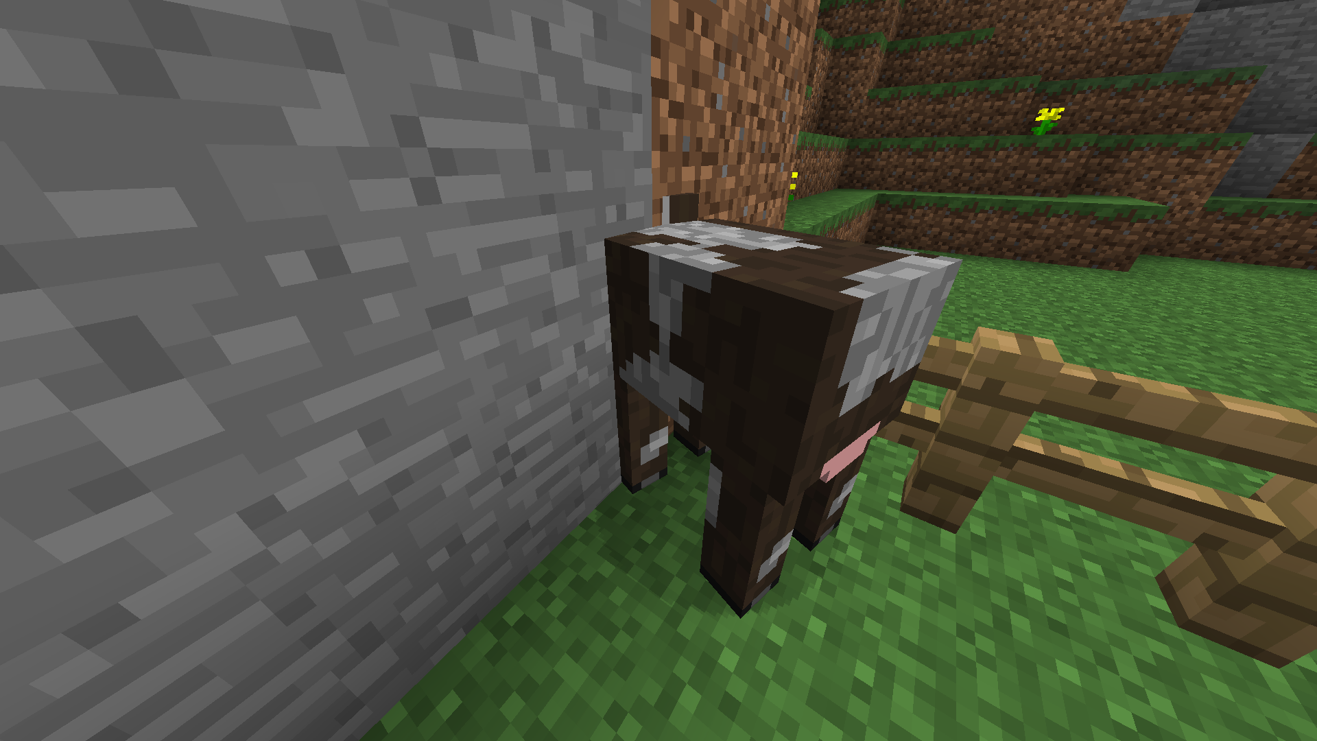Attached image file