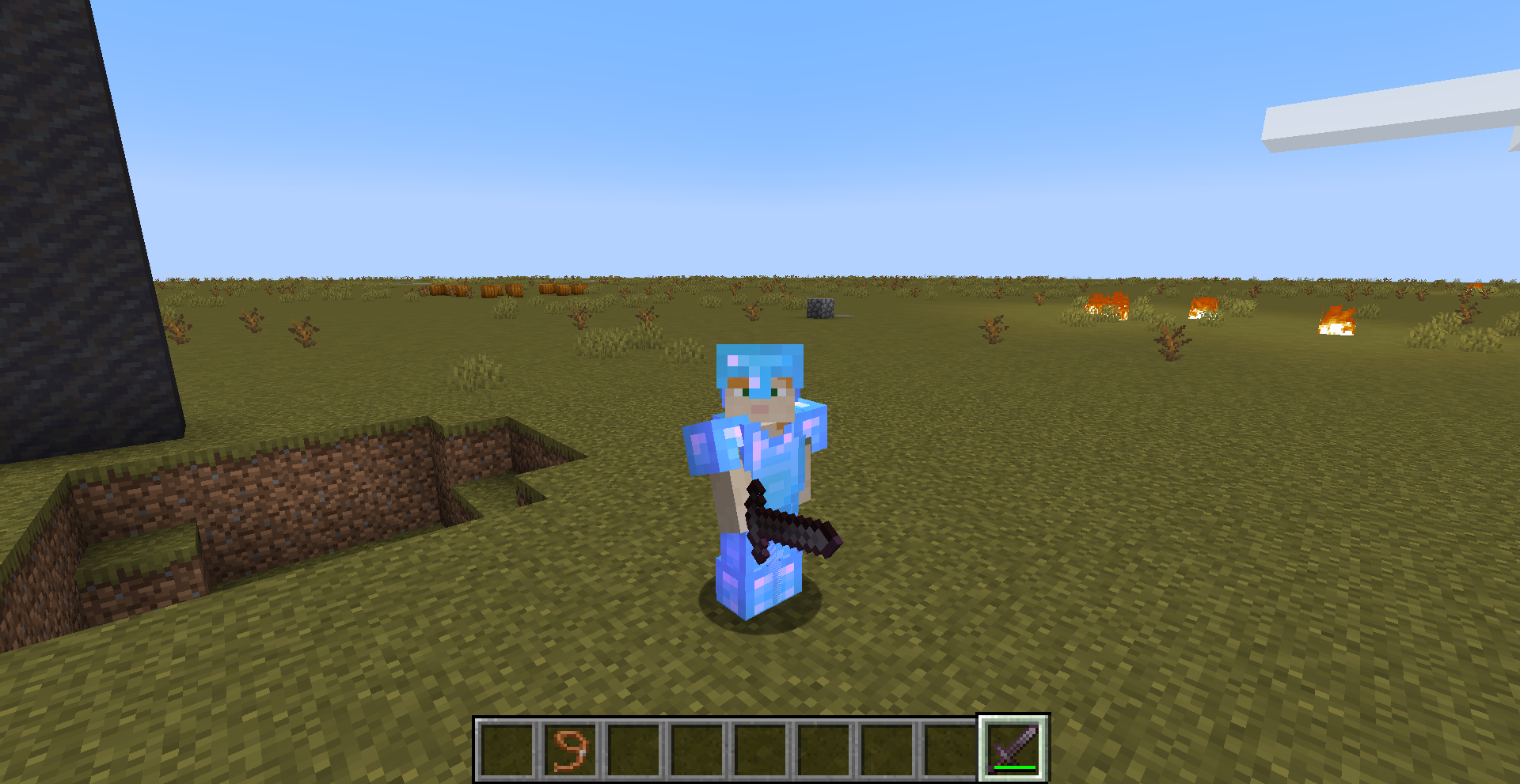 Attached image file