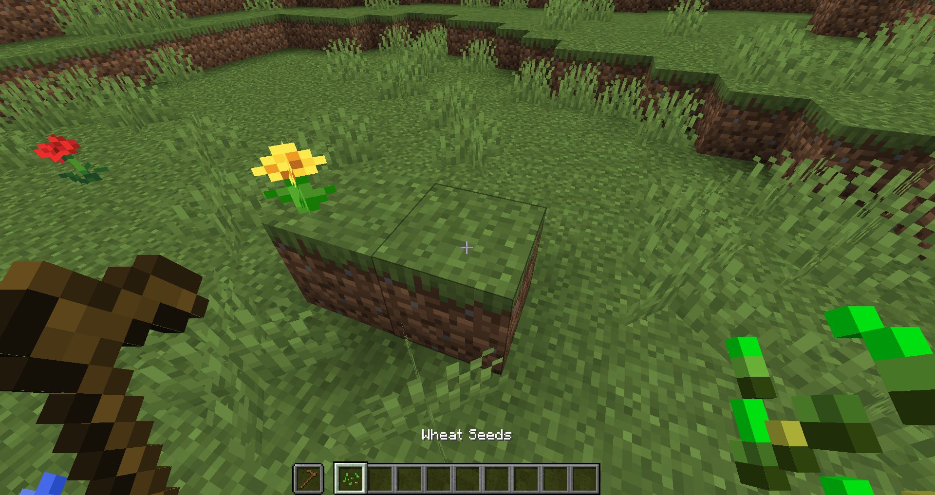 Attached image file