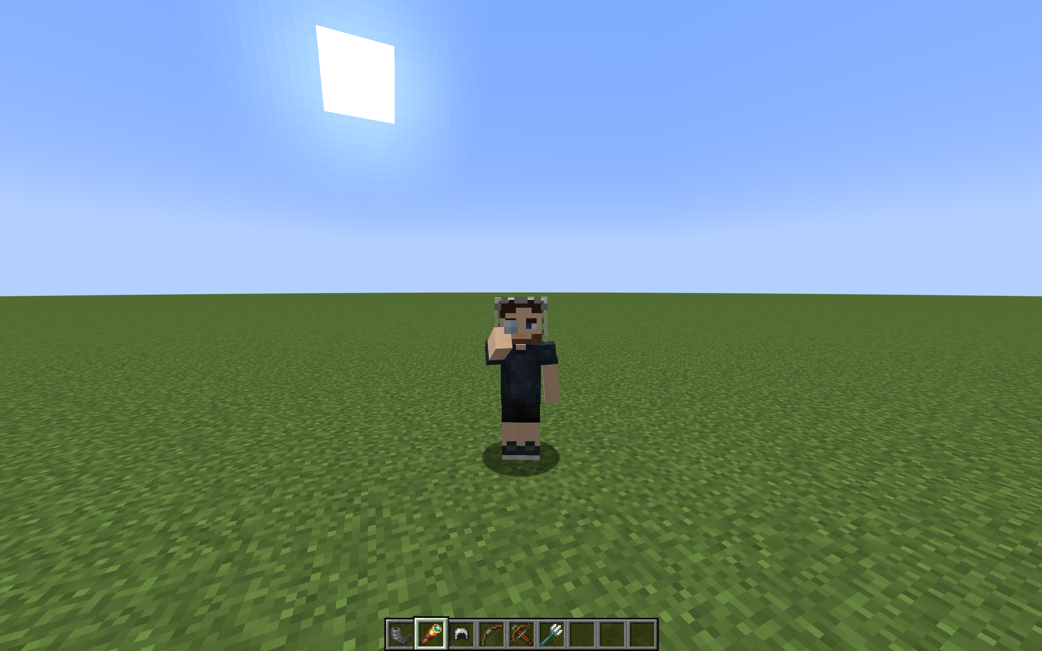 Attached image file