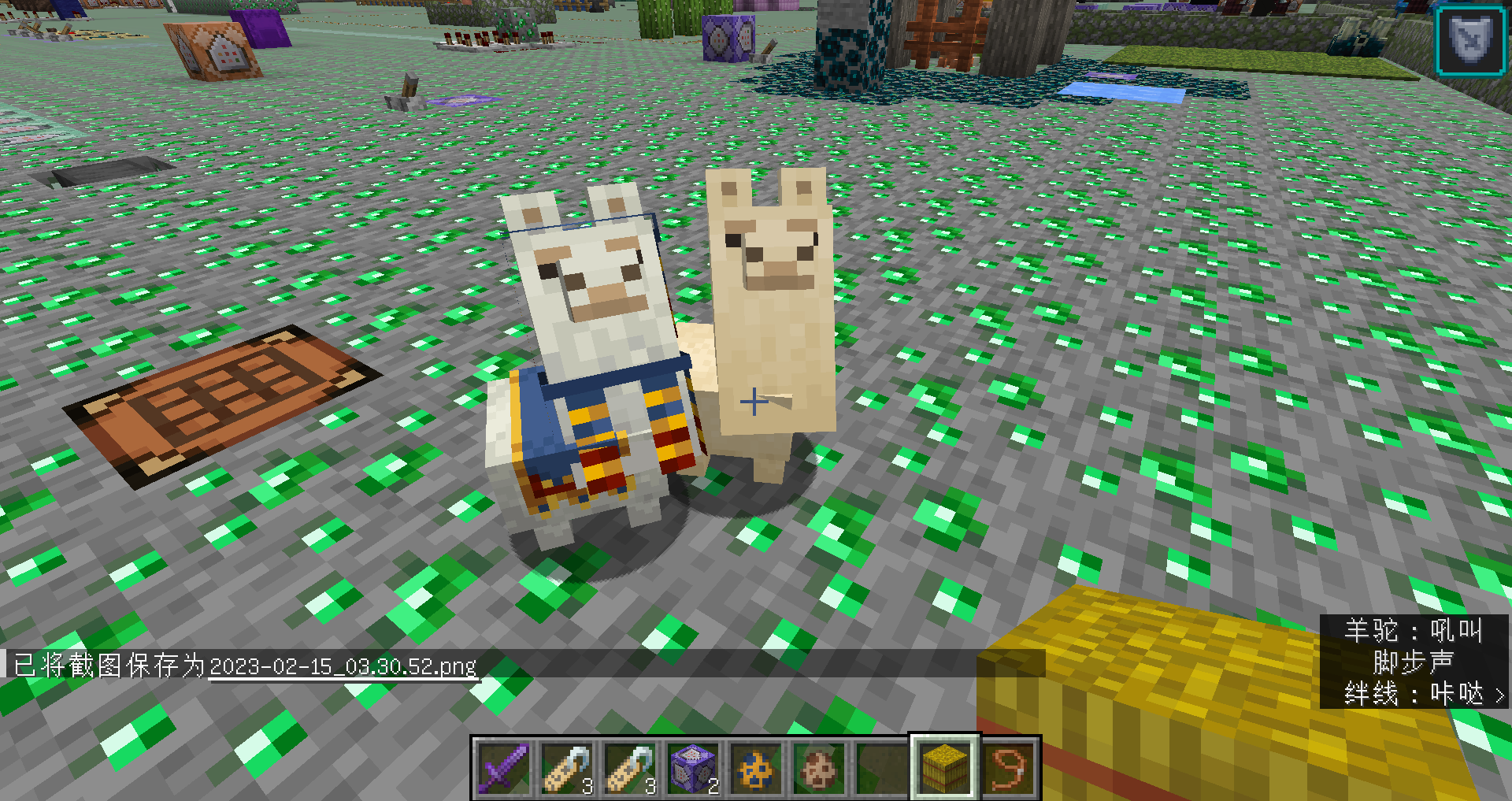 Attached image file