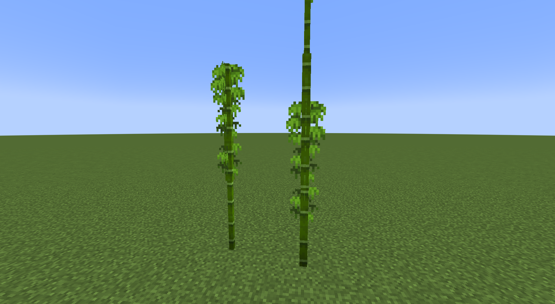 Attached image file