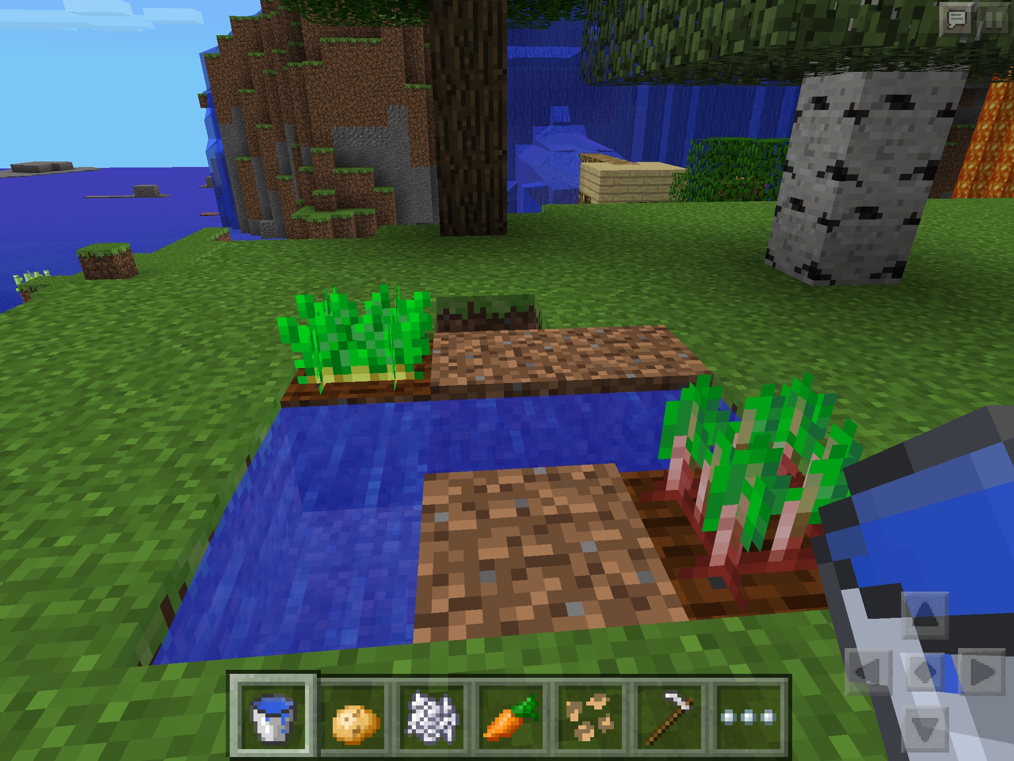 Attached image file