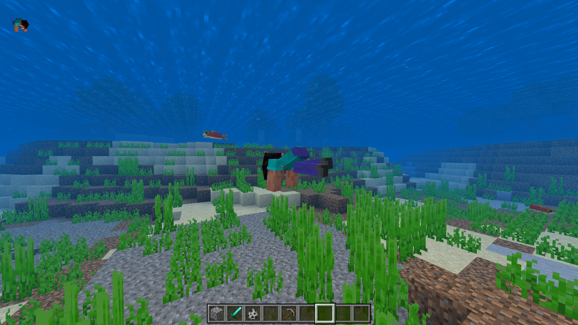 Attached image file