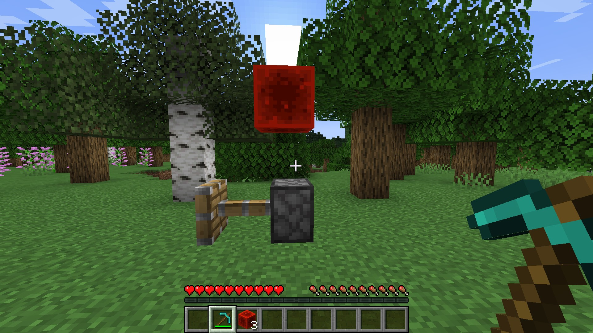 Attached image file