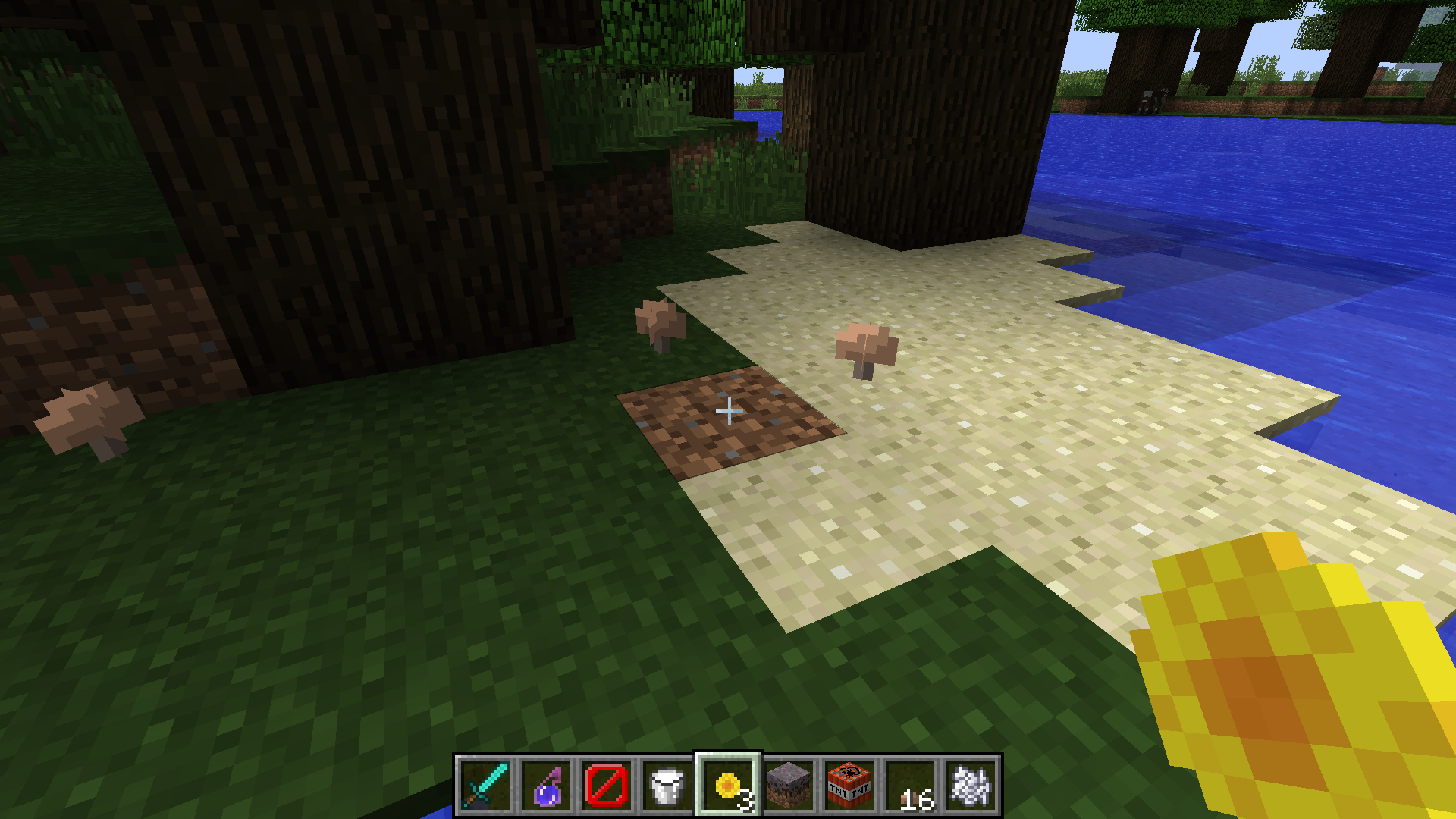 Attached image file