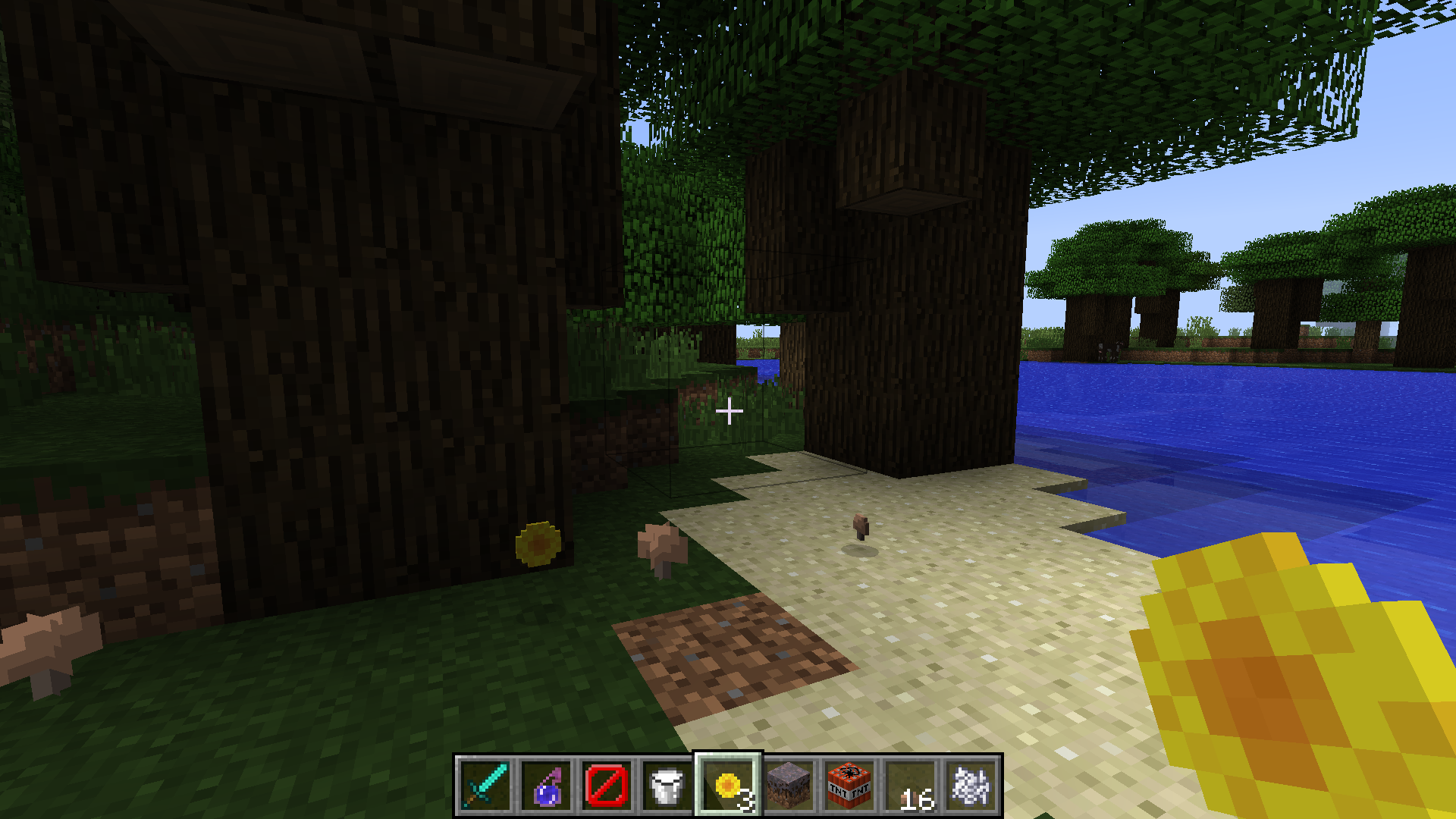 Attached image file