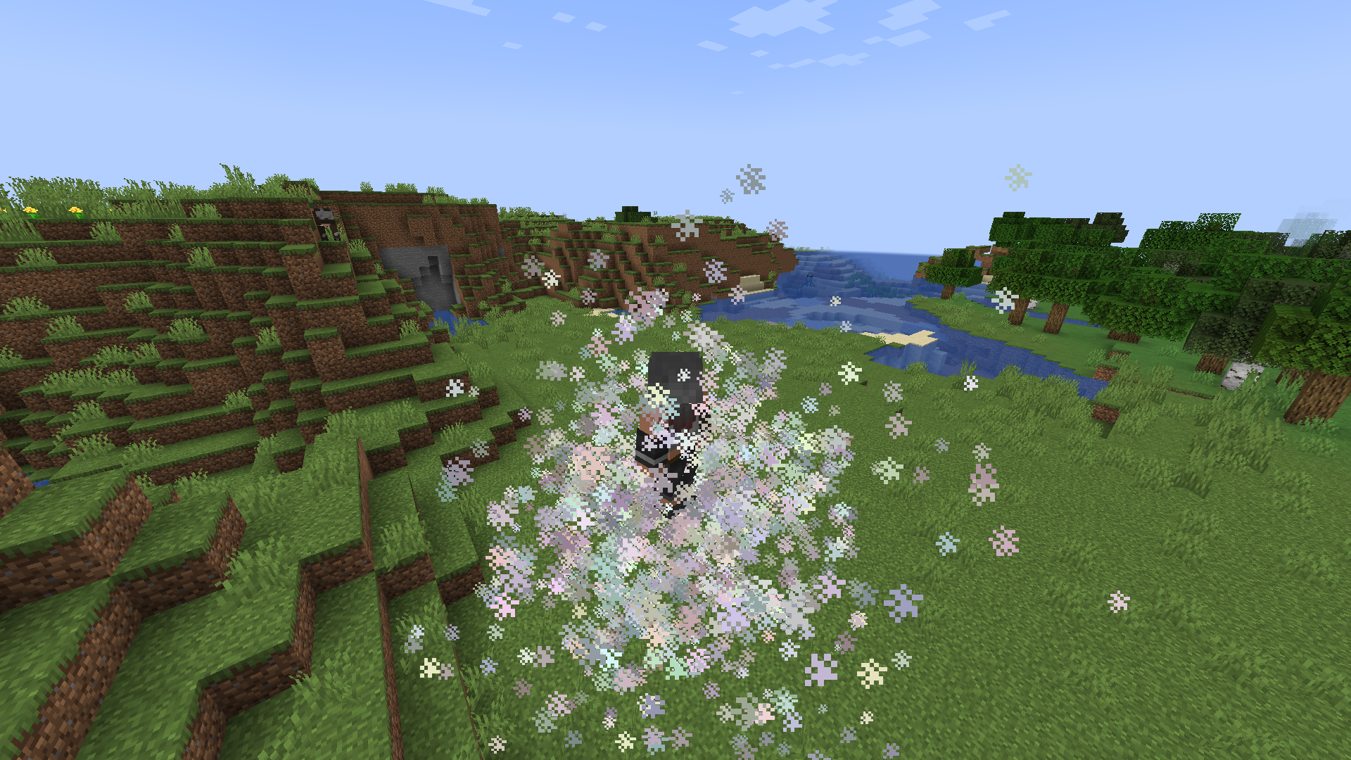 Attached image file