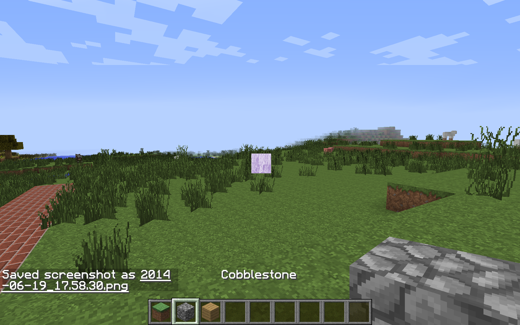Attached image file