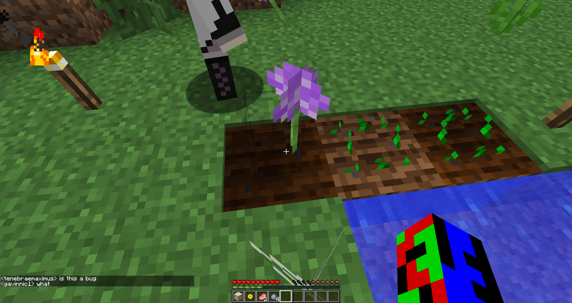 Attached image file