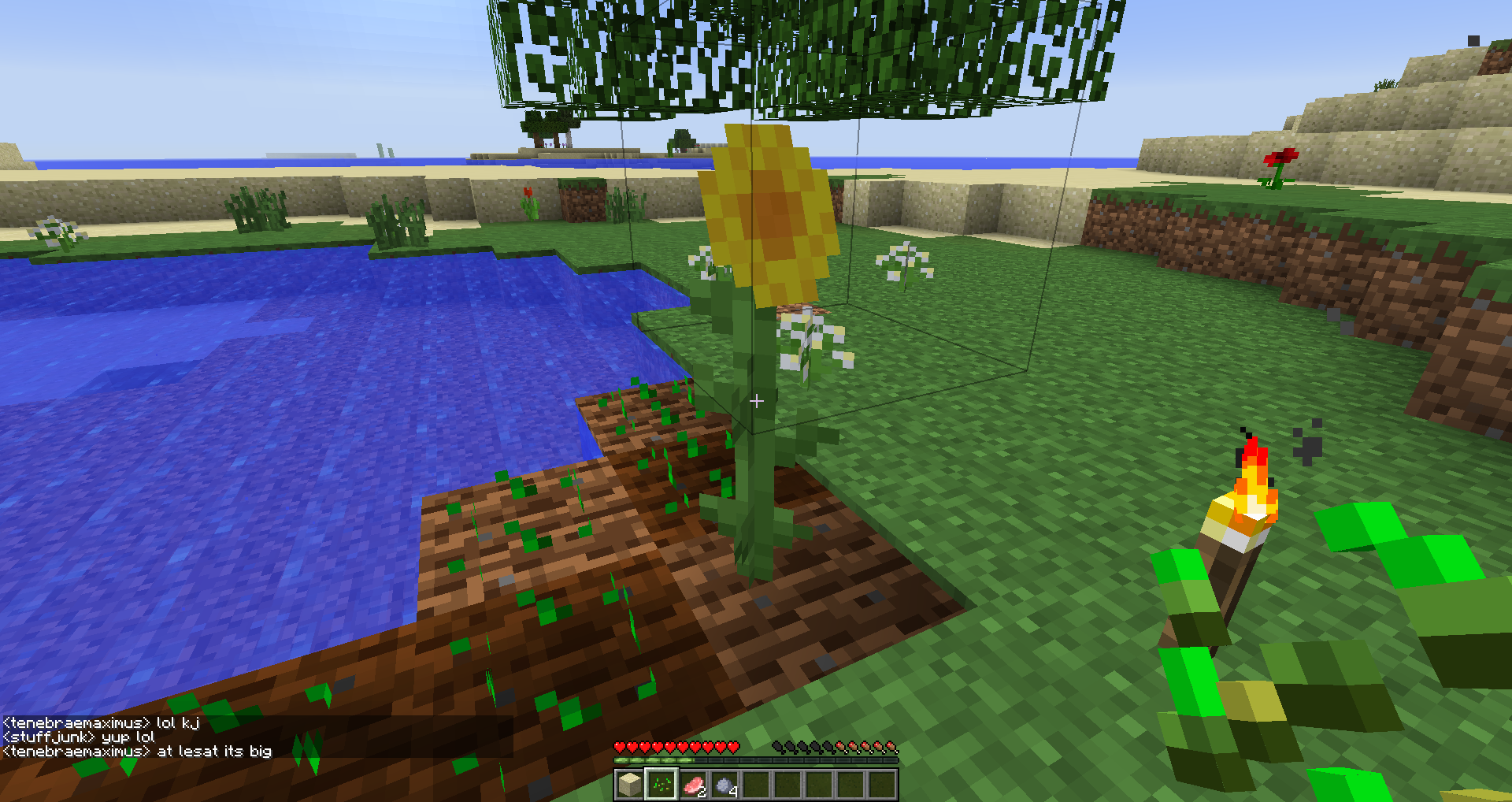Attached image file