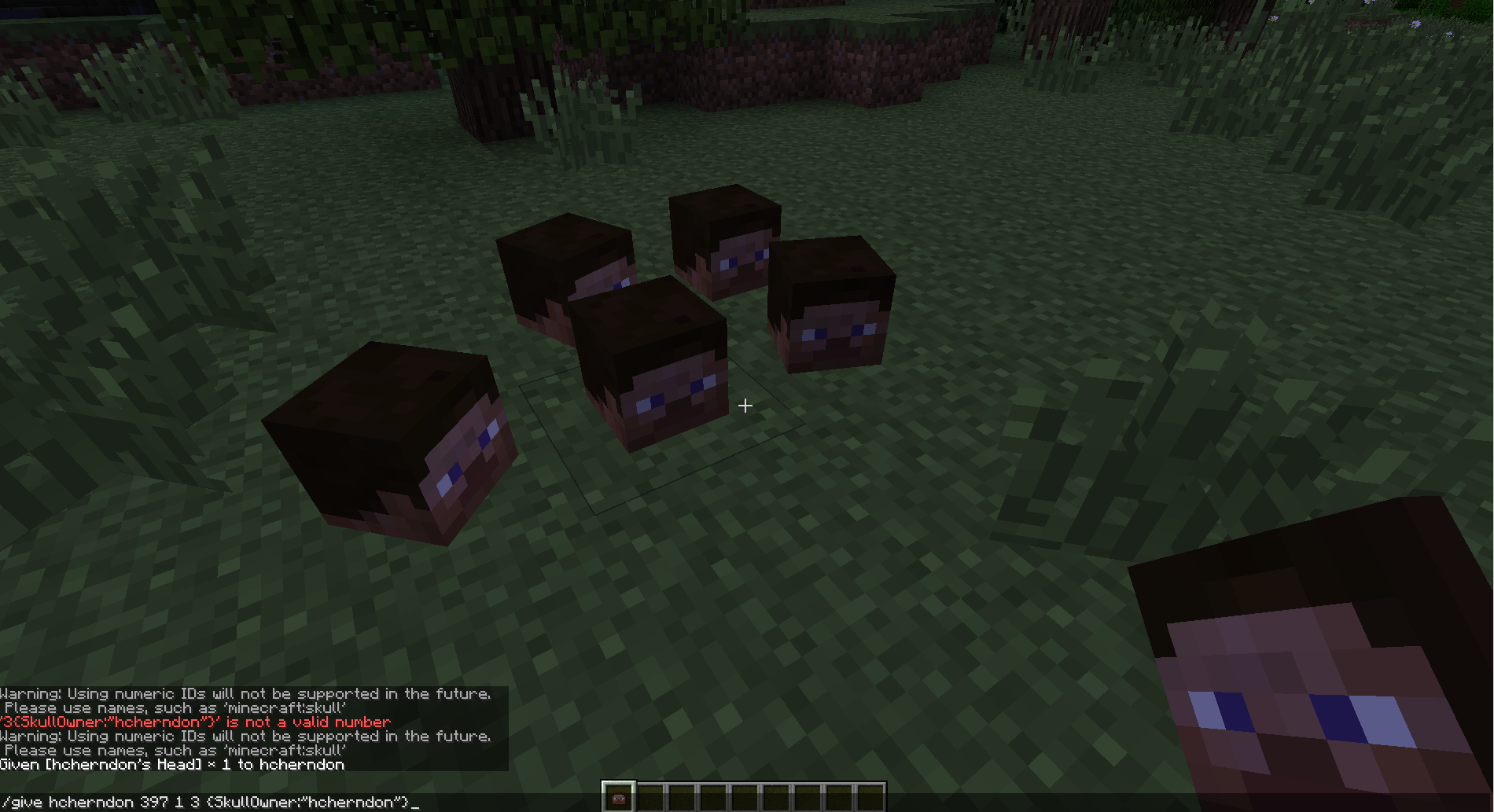 Attached image file