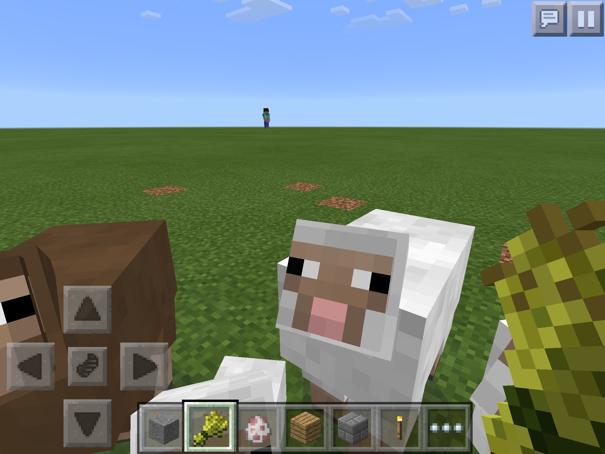 Attached image file