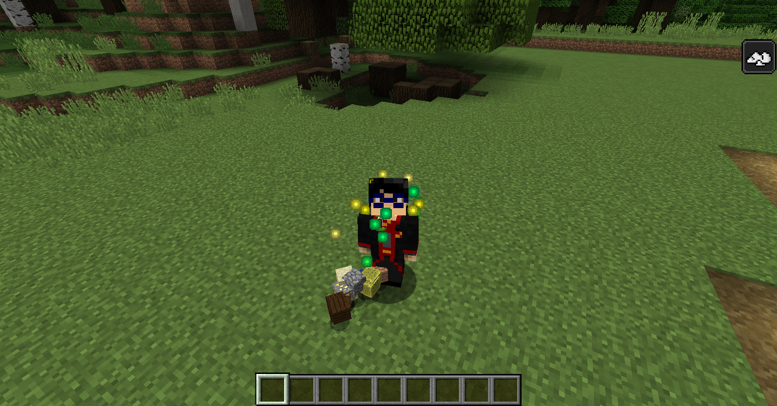 Attached image file