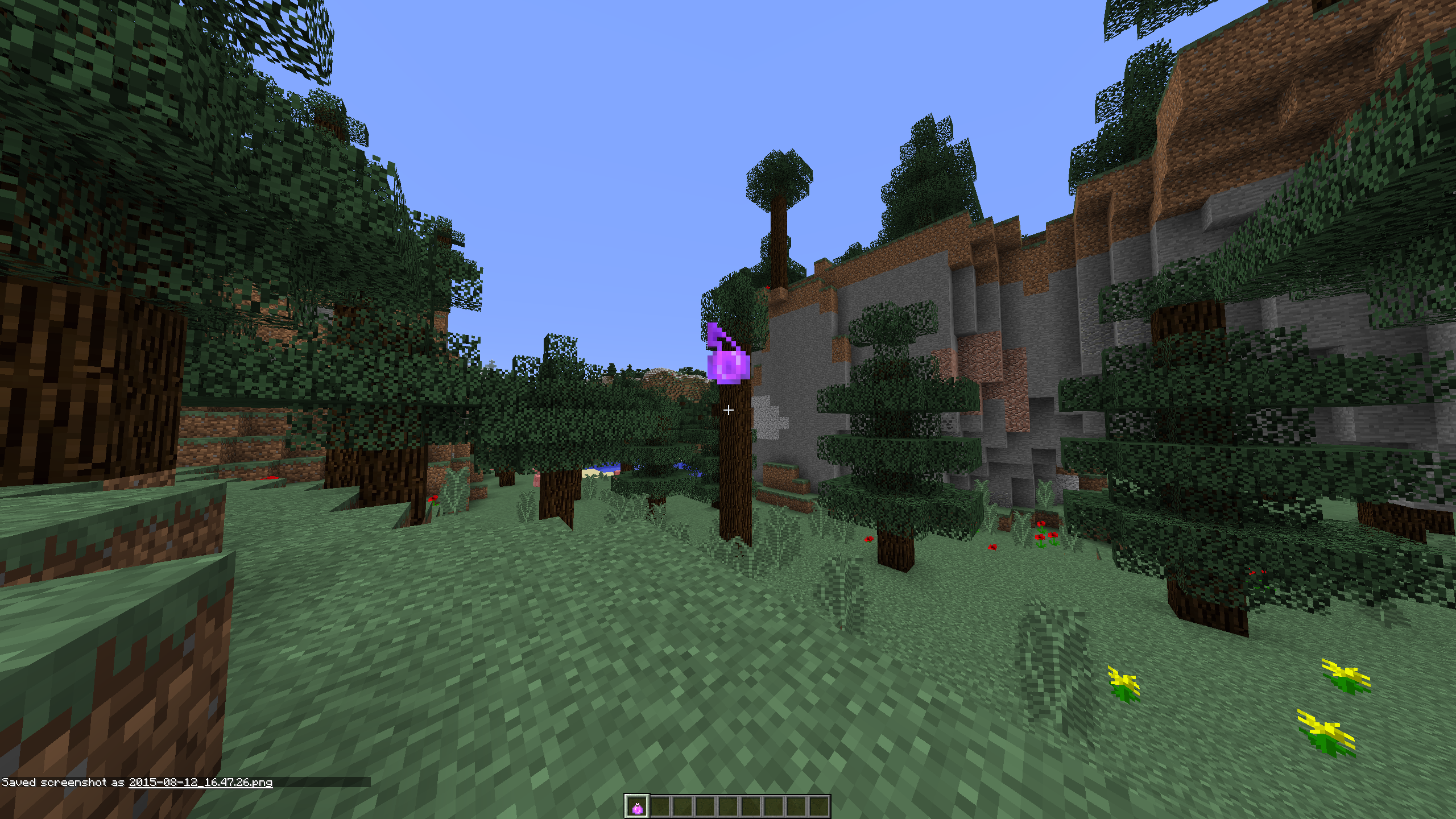 Attached image file