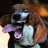 Basset Hound