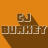 CJ Burkey