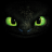 Night Fury