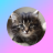 TheGamingCat
