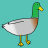 Wild Duck