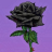 Withered1391